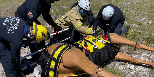 image of a horse manikin and four rescue personnel