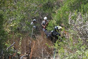 San Diego Technical Rescue Team rescuing a stuck horse